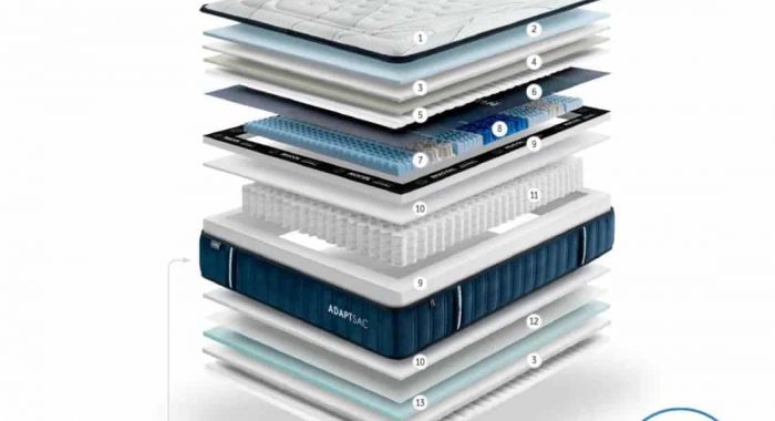 Composición ADAPT SAC (Gomarco)